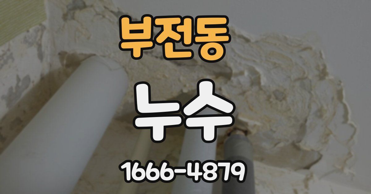 부전동 누수