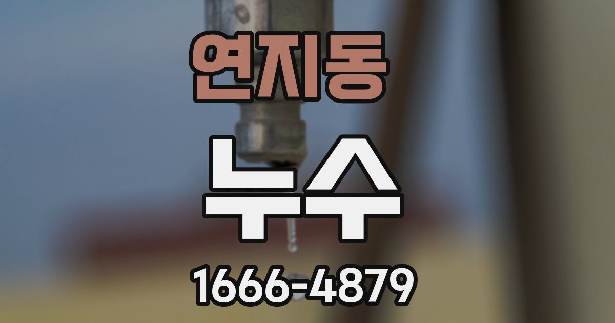 연지동 누수