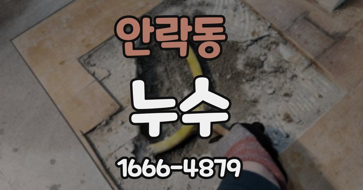 안락동 누수