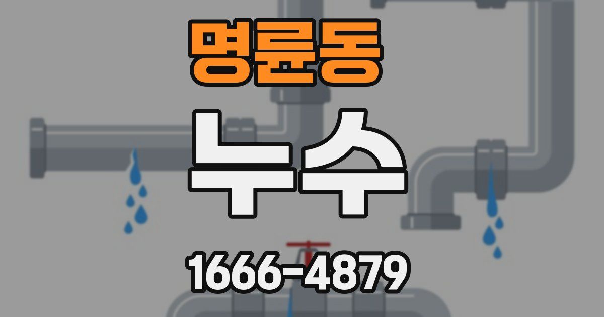 명륜동 누수
