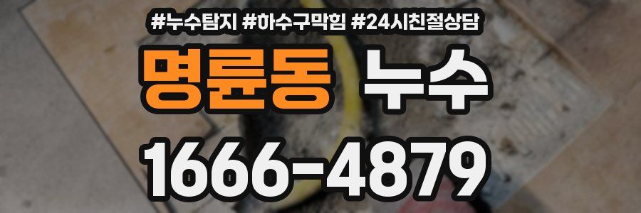 명륜동 누수
