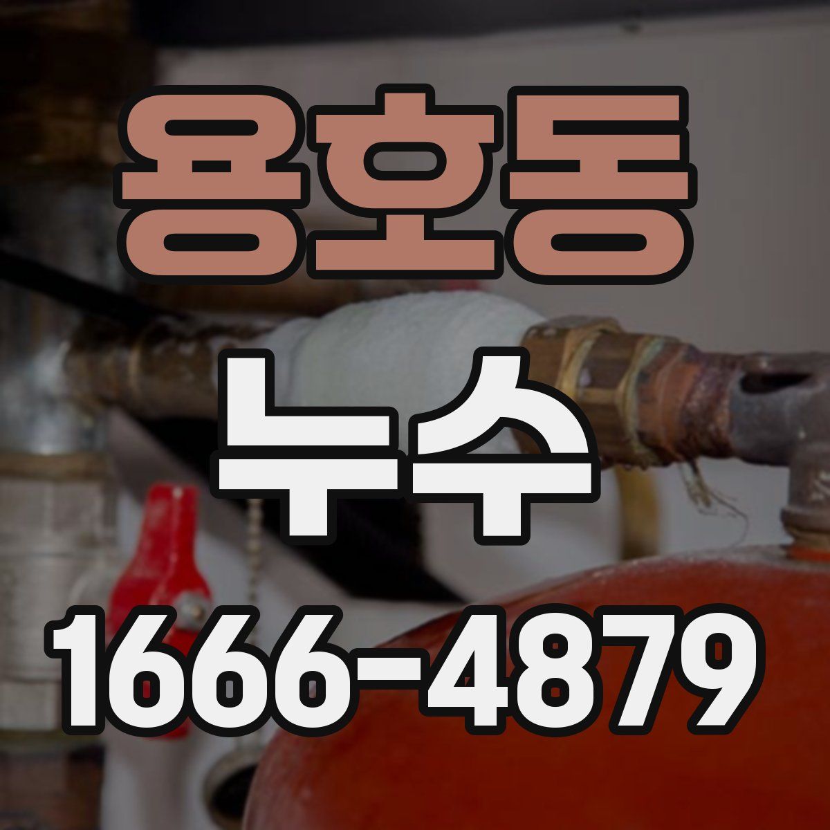 용호동 누수