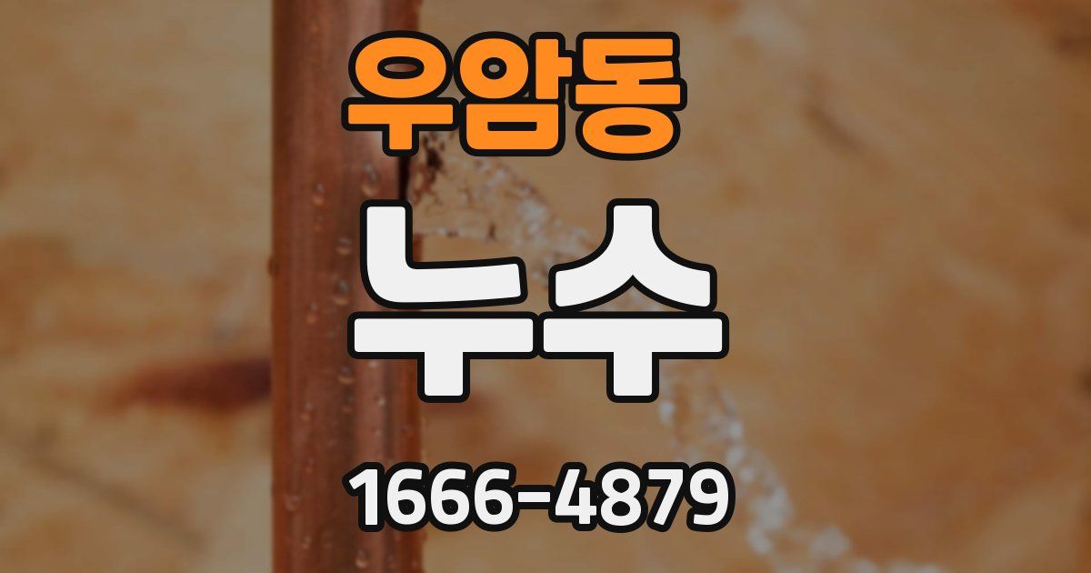 우암동 누수