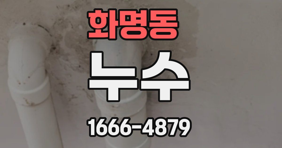 화명동 누수