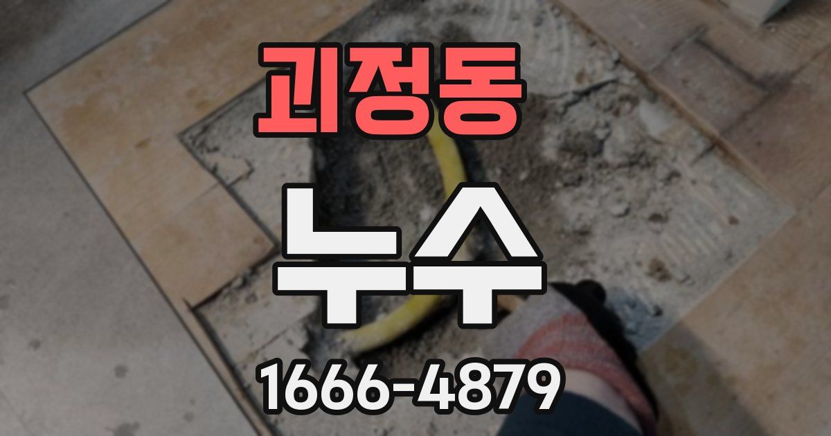 괴정동 누수