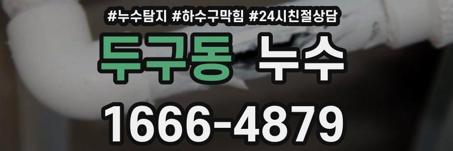 두구동 누수