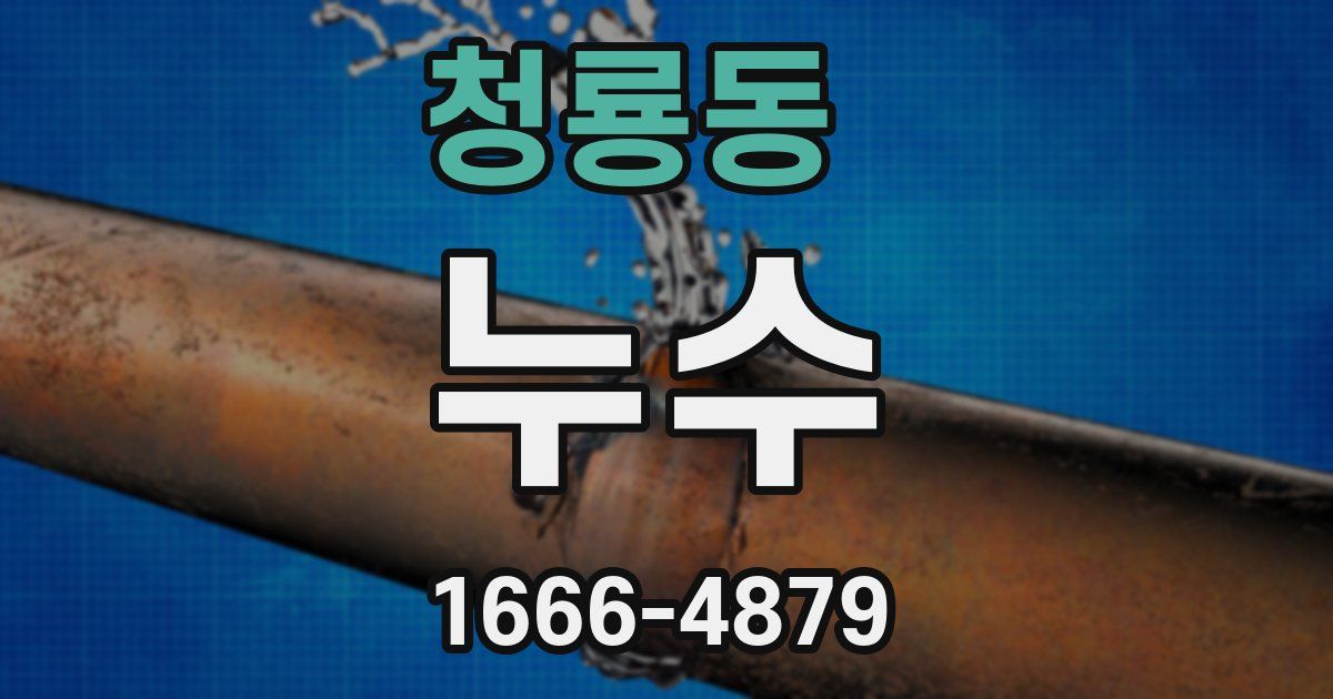 청룡동 누수
