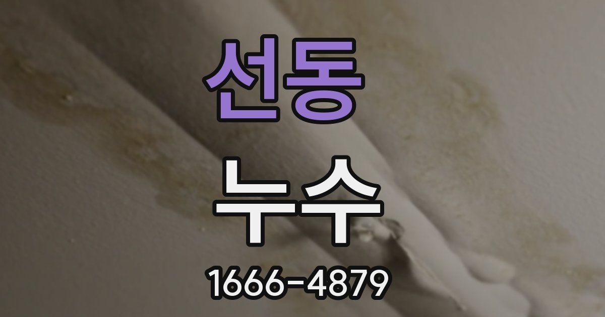 선동 누수