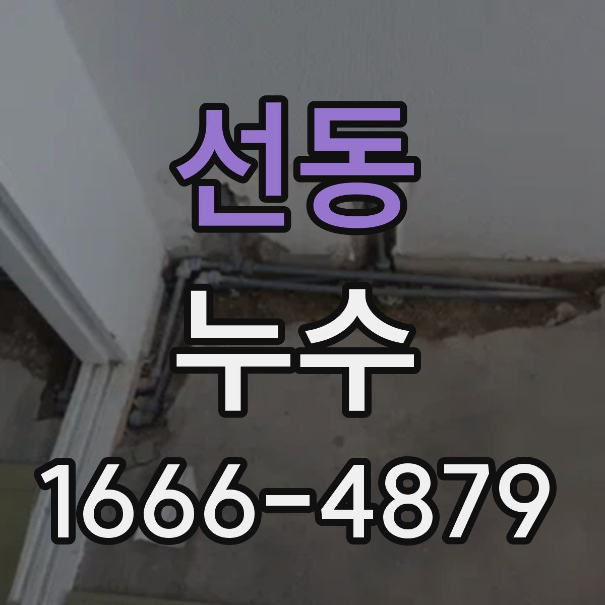 선동 누수