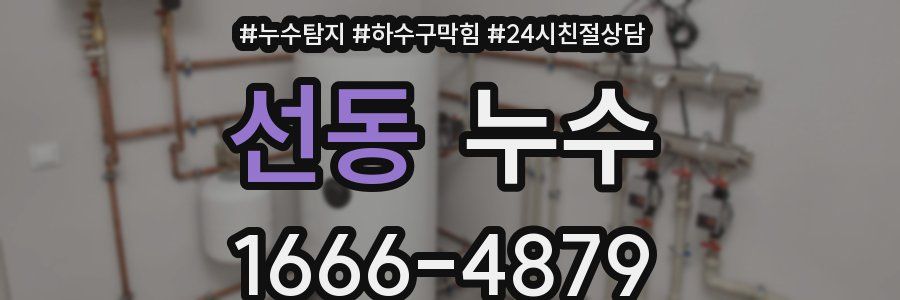 선동 누수