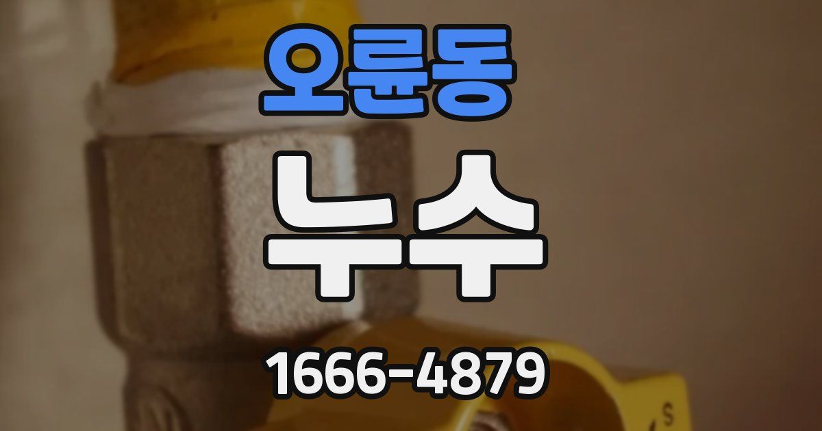 오륜동 누수