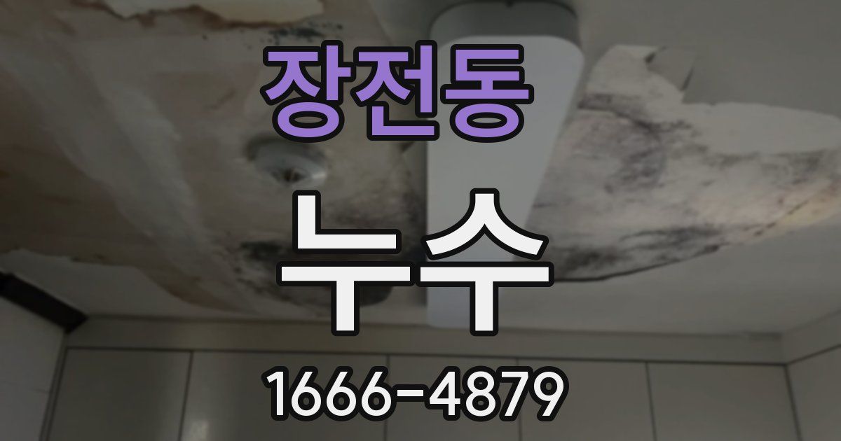 장전동 누수