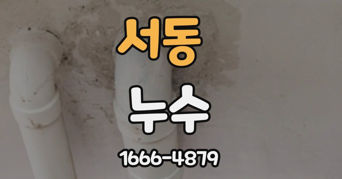 서동 누수