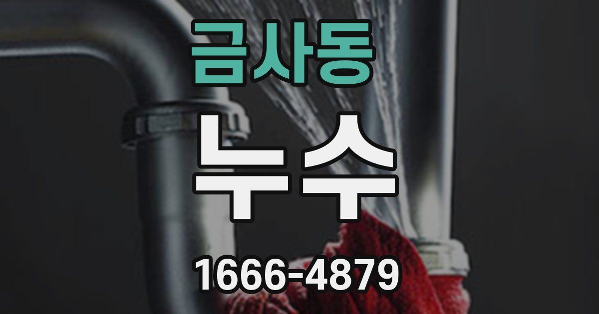 금사동 누수