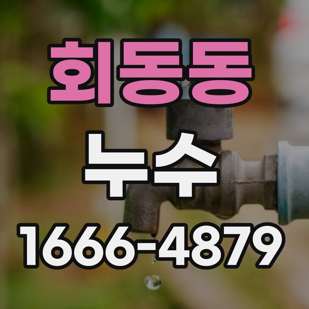 회동동 누수