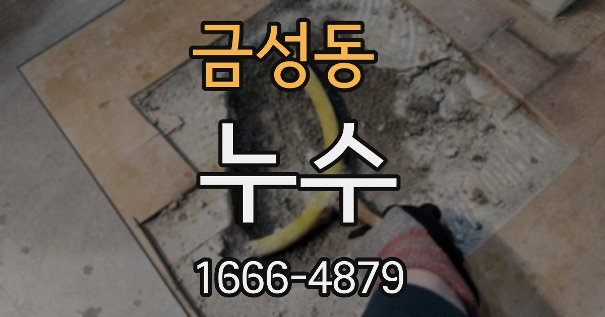 금성동 누수