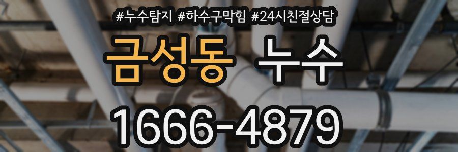 금성동 누수