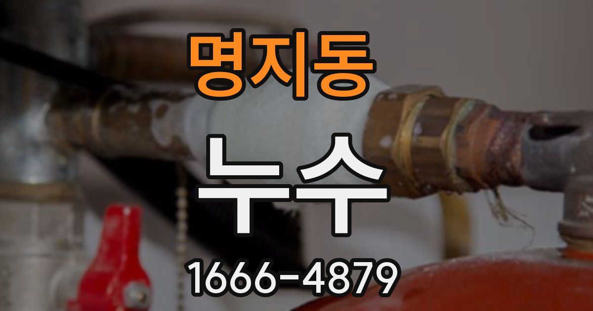 명지동 누수