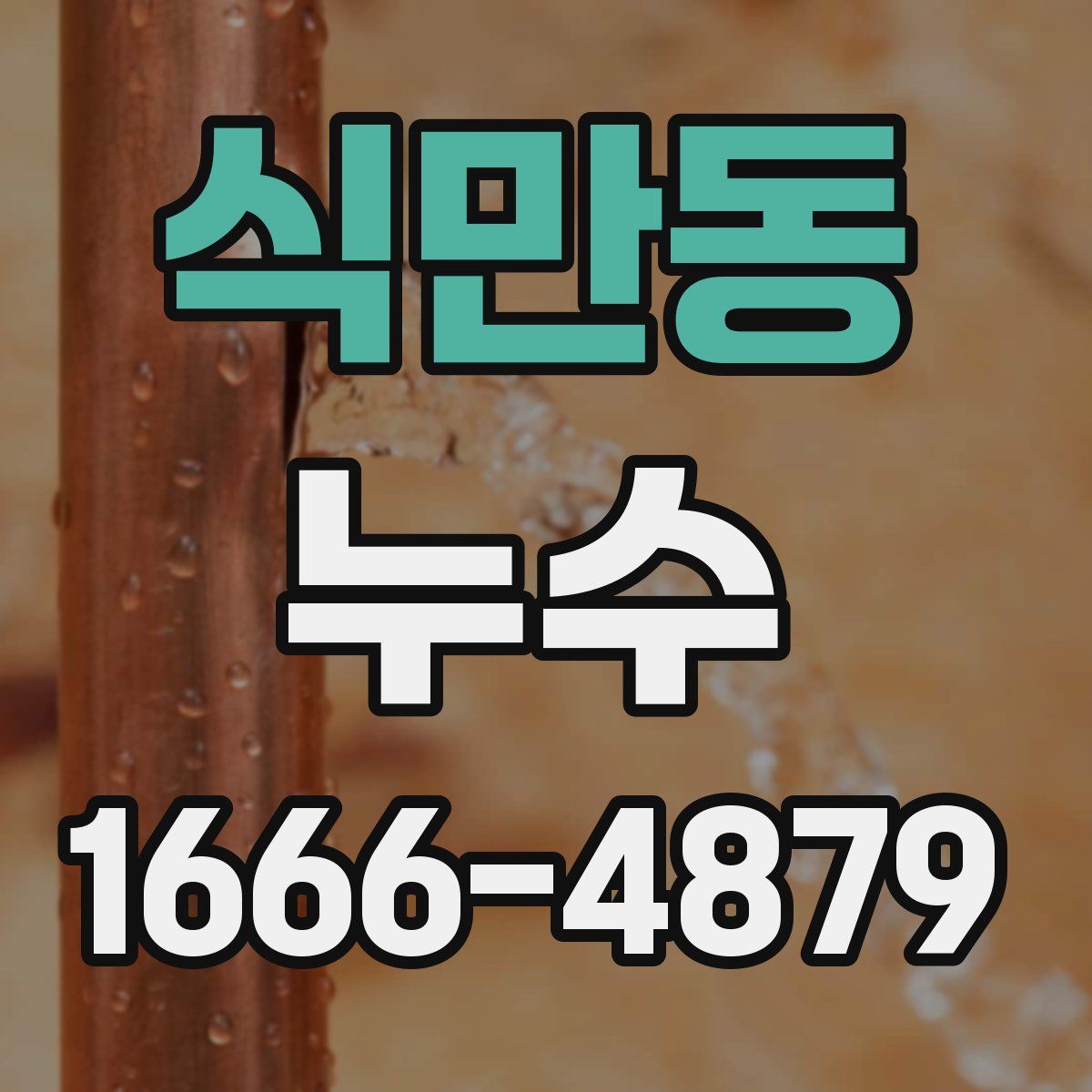 식만동 누수
