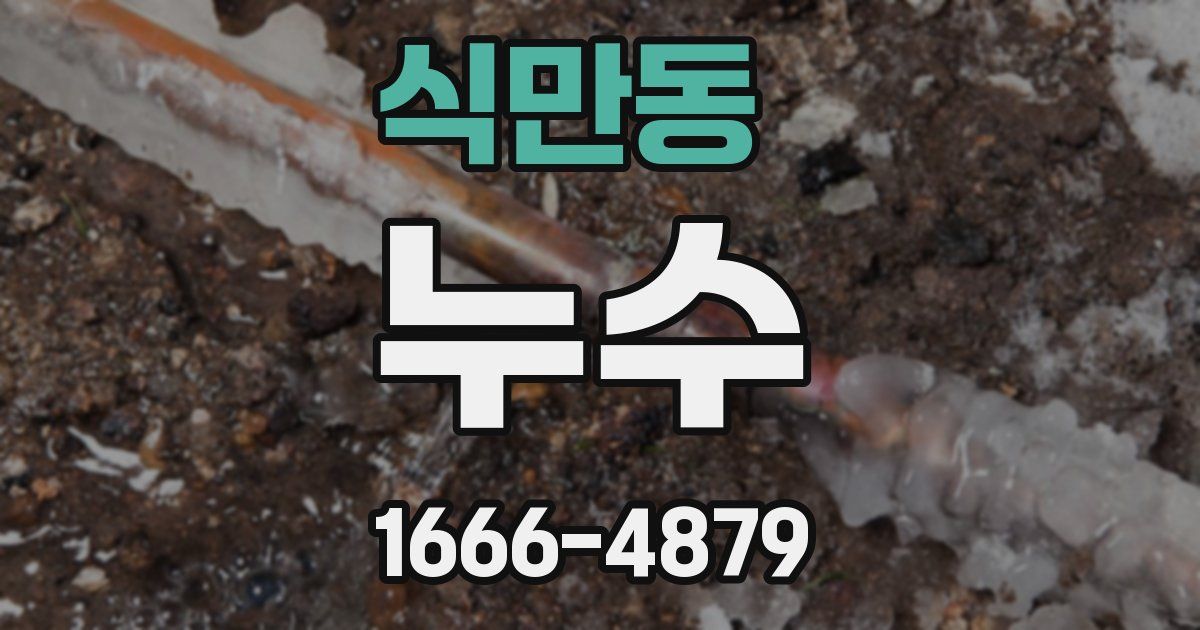 식만동 누수