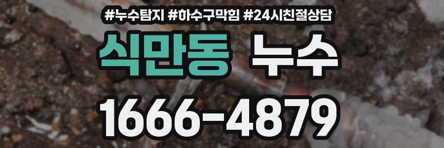 식만동 누수