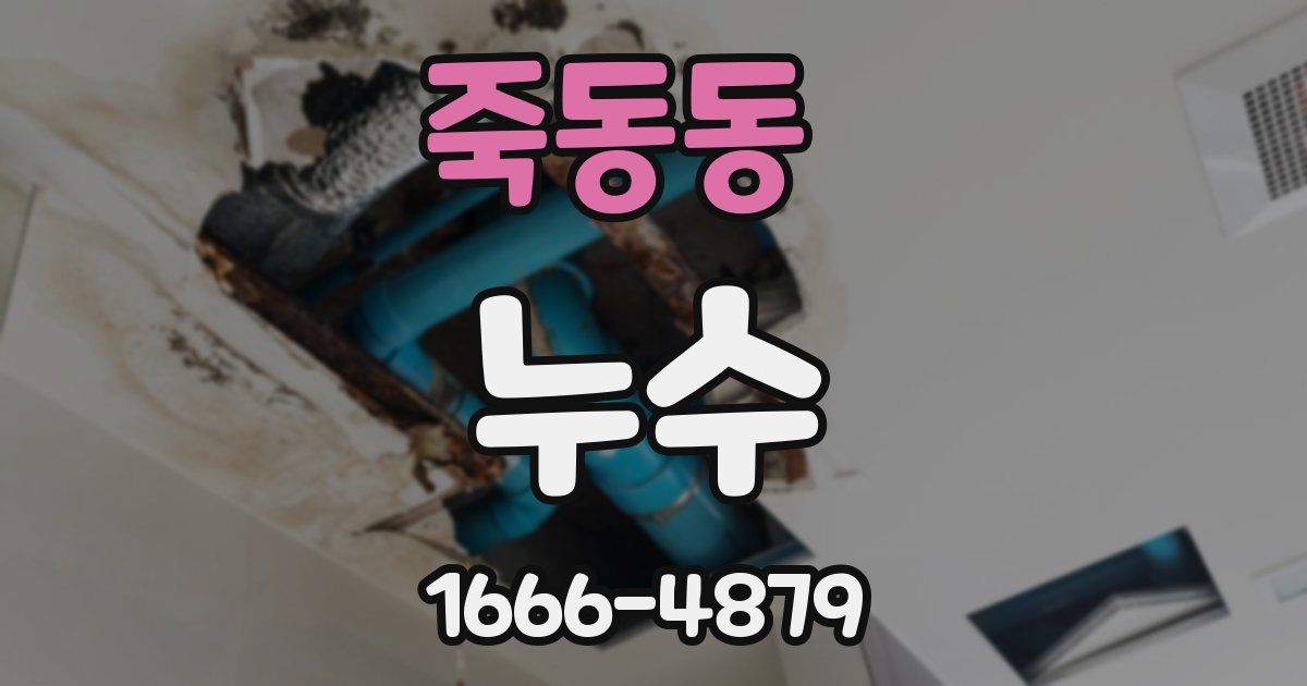 죽동동 누수