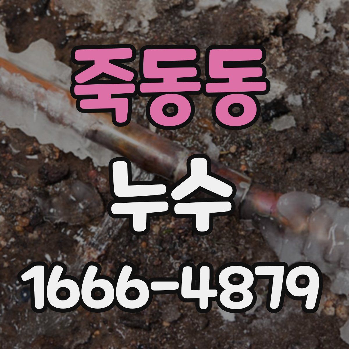 죽동동 누수