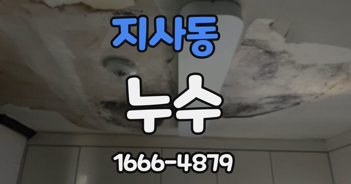 지사동 누수