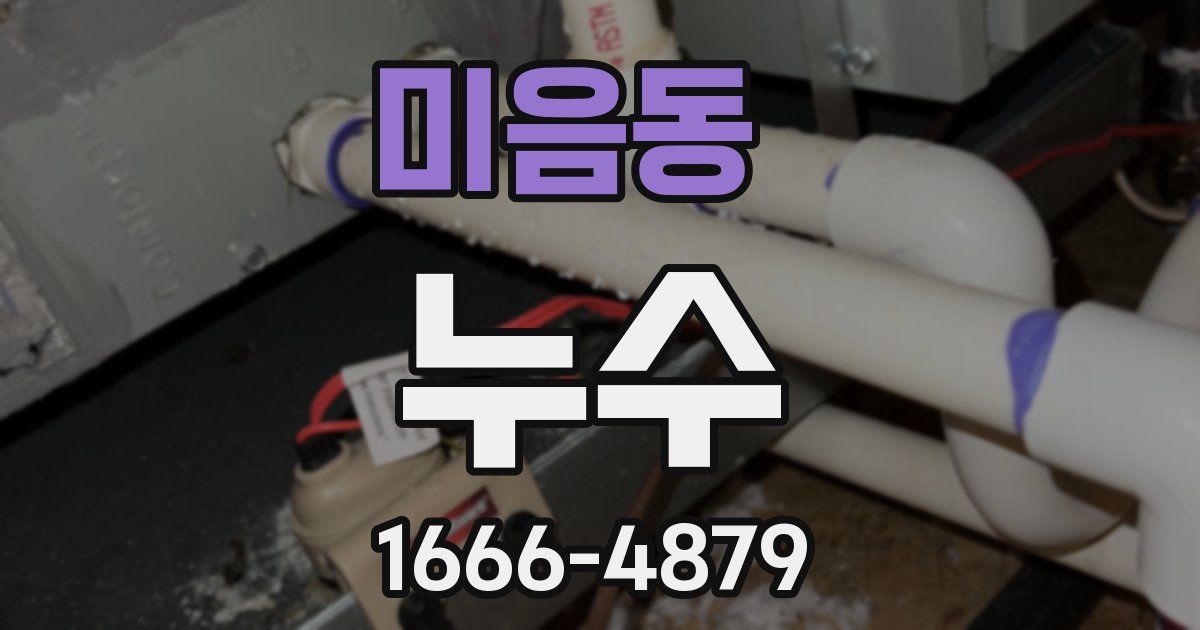 미음동 누수