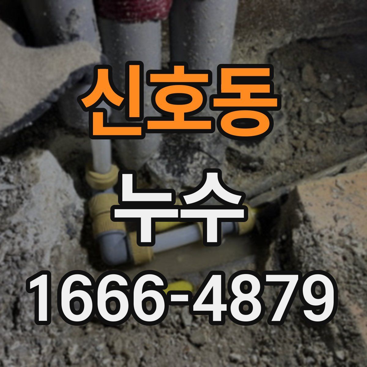 신호동 누수