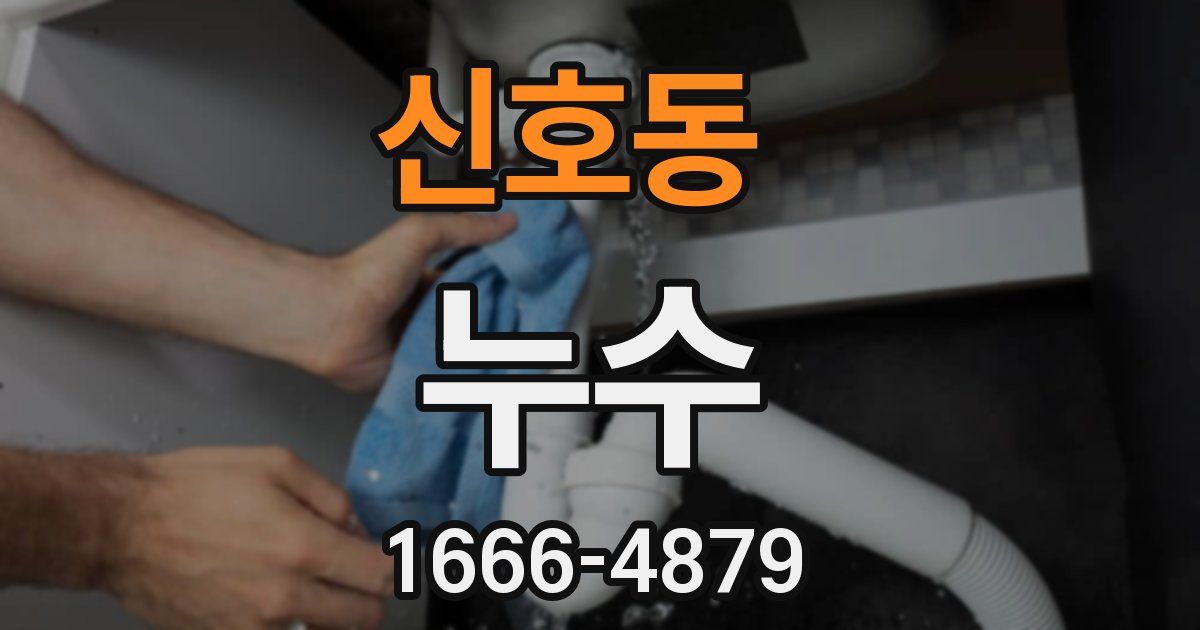 신호동 누수