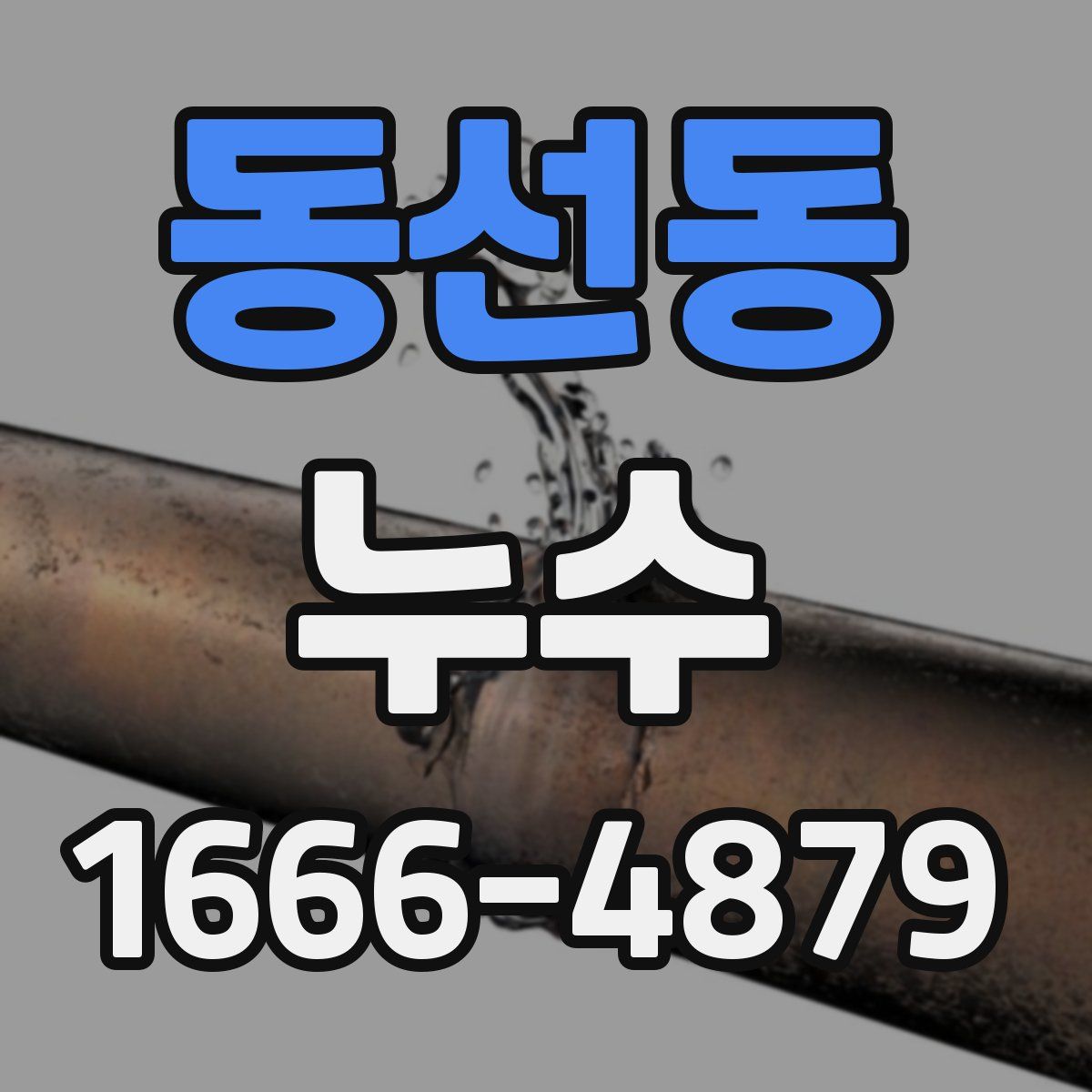 동선동 누수