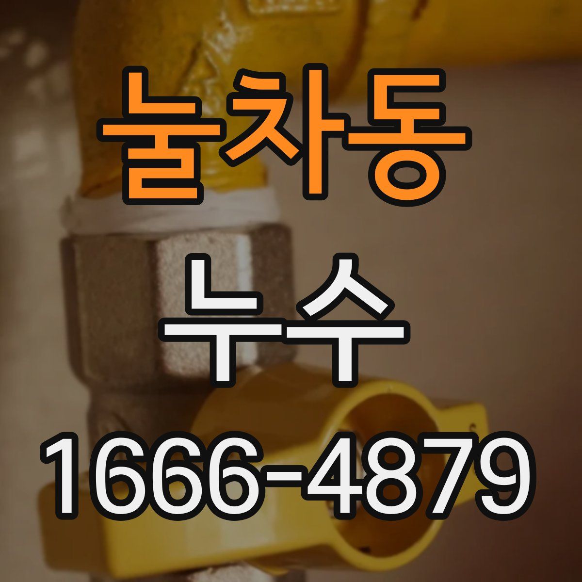 눌차동 누수