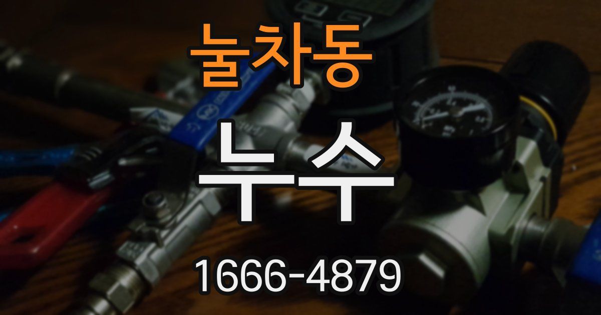 눌차동 누수