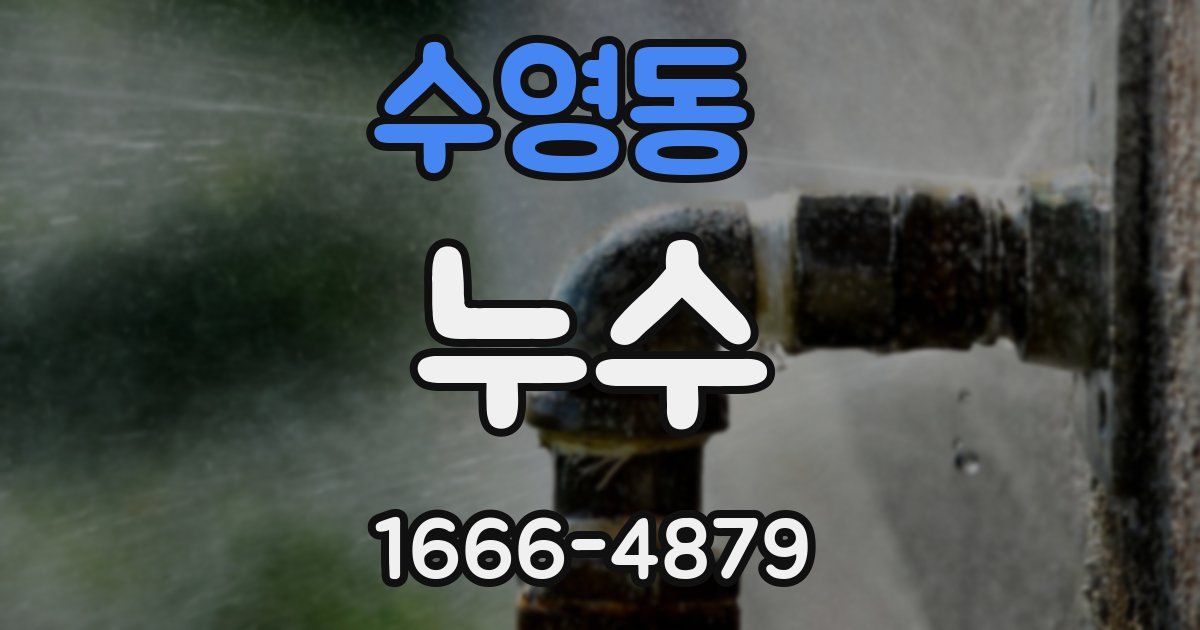수영동 누수