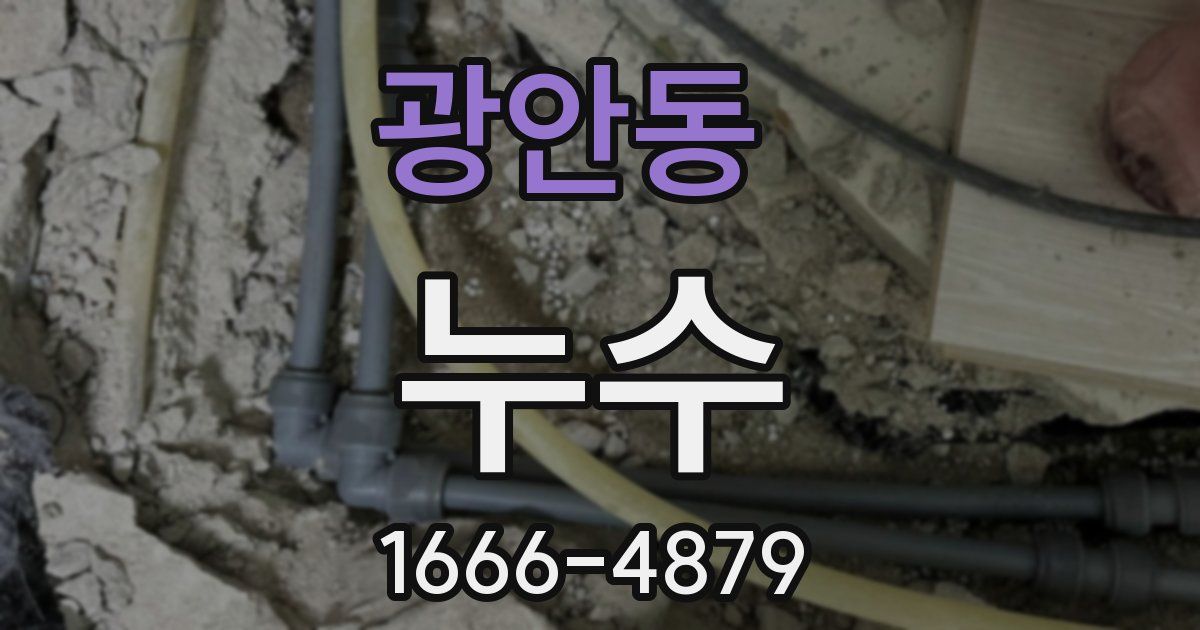 광안동 누수