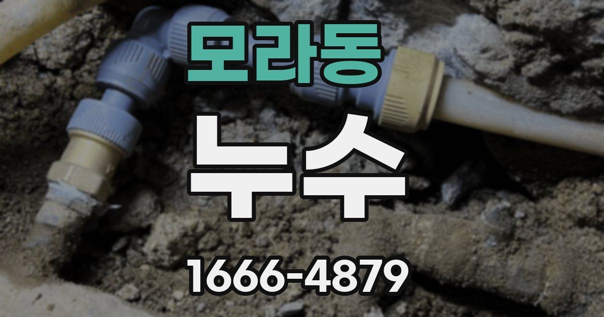 모라동 누수