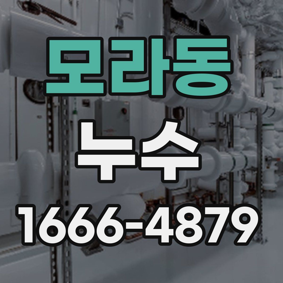 모라동 누수