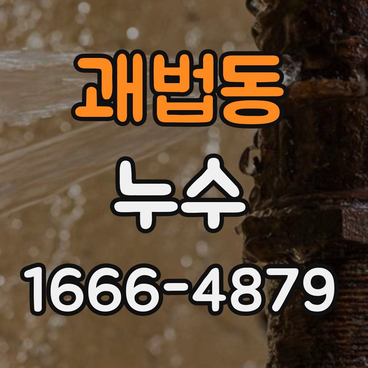 괘법동 누수