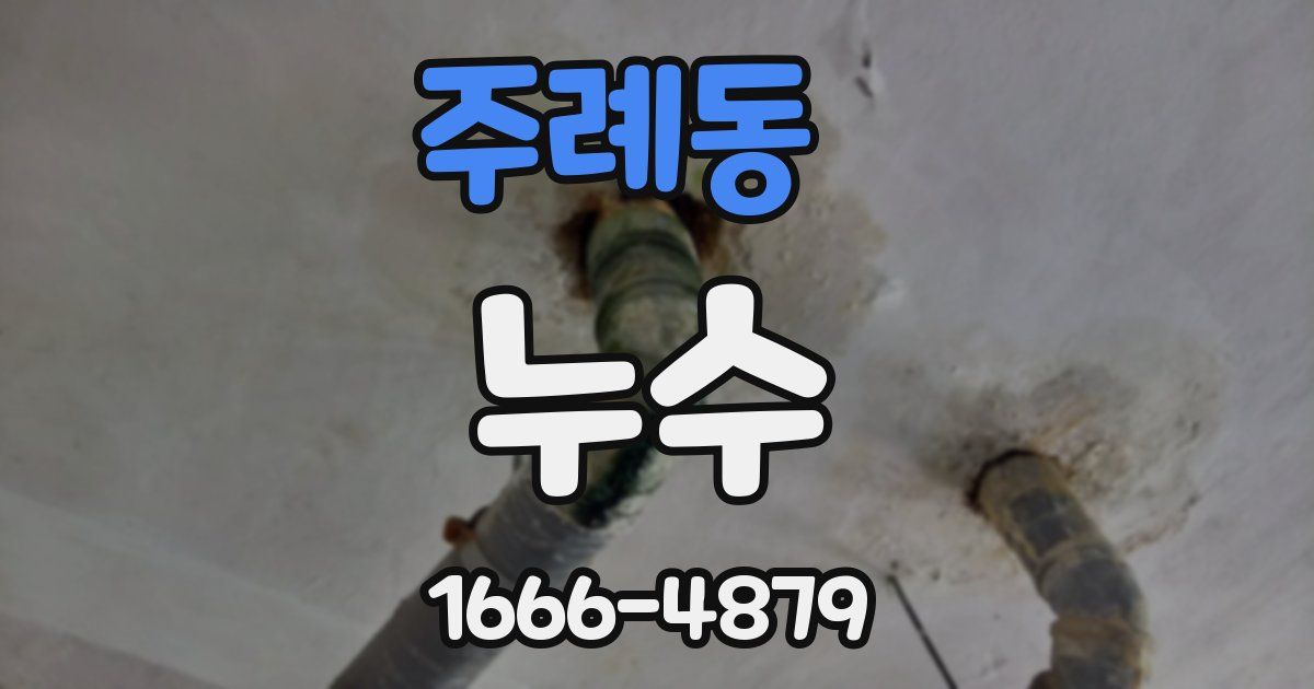 주례동 누수