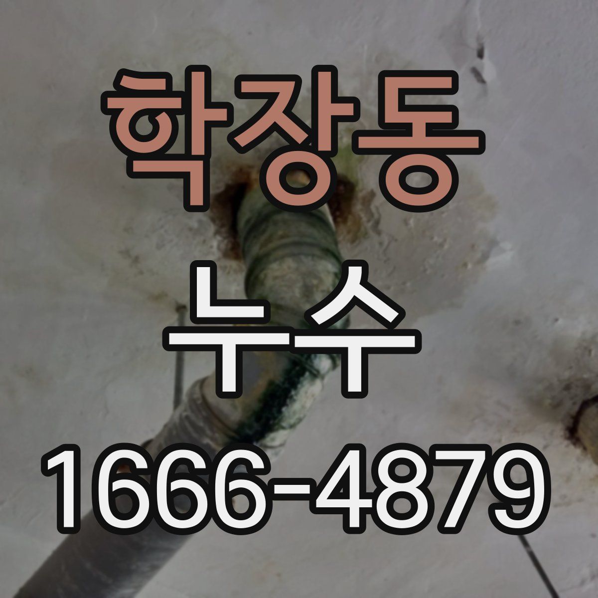 학장동 누수