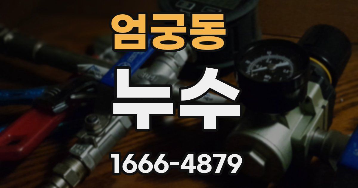 엄궁동 누수