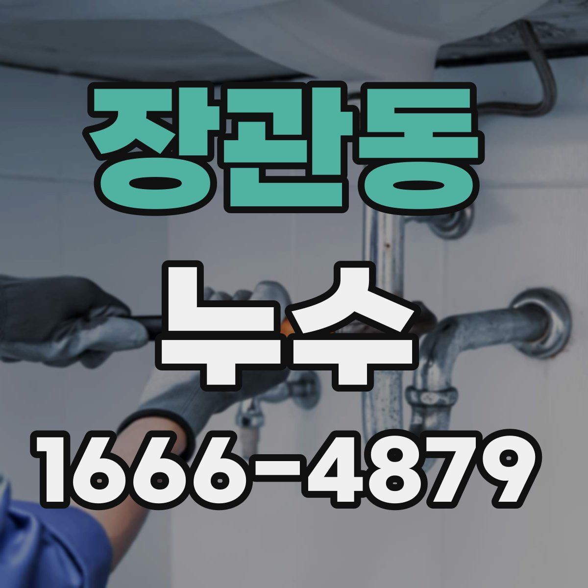 장관동 누수