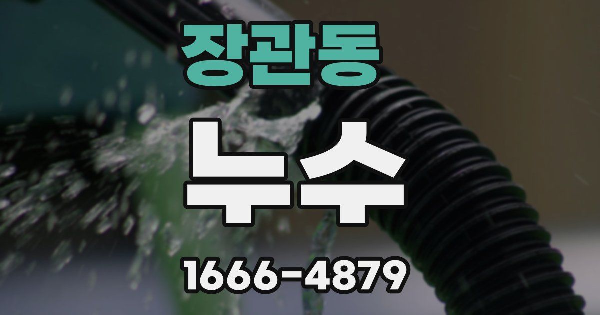 장관동 누수