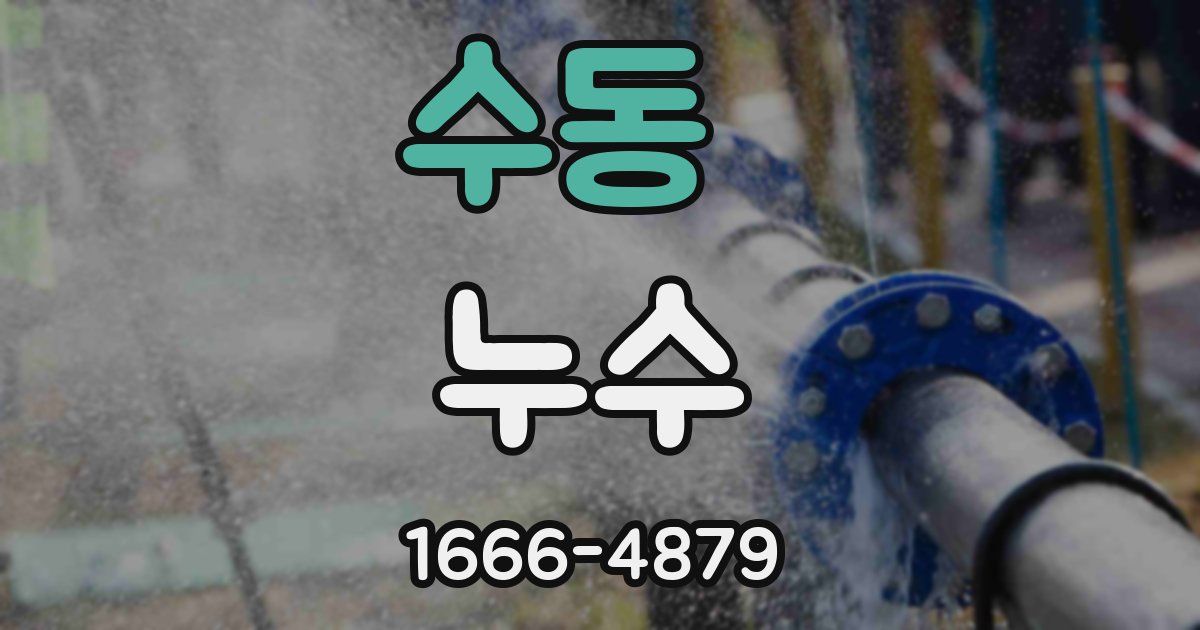 수동 누수