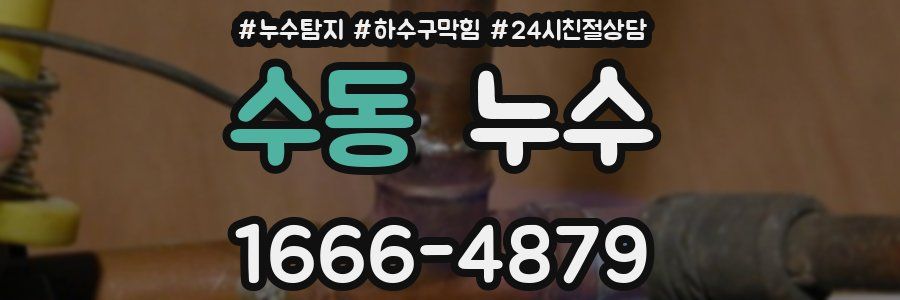 수동 누수