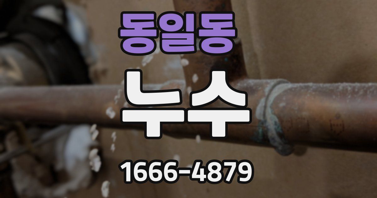 동일동 누수