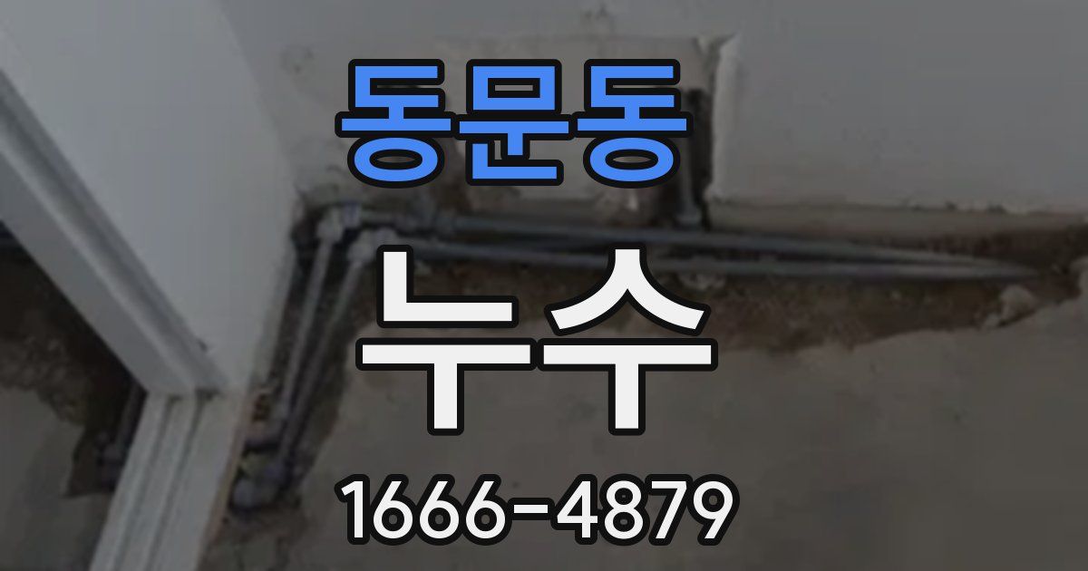 동문동 누수