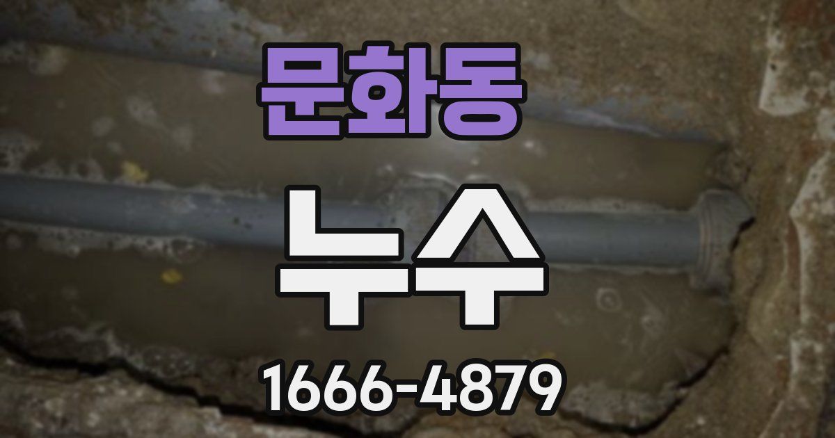 문화동 누수