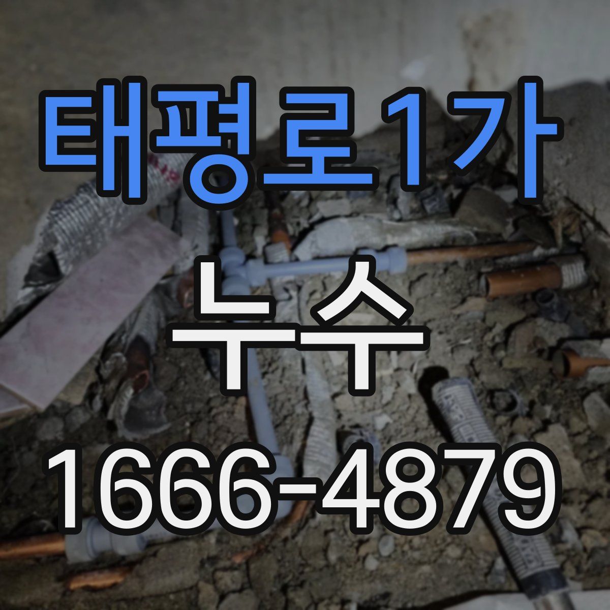 태평로1가 누수
